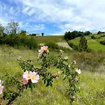 Vignes - Ou Le Calm Apaise L'ame