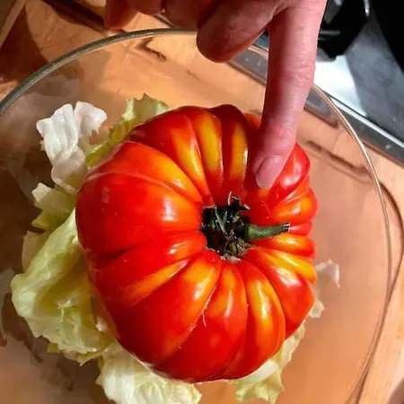 Vignes - Où Le Calm Apaise L'âme Appartement Cazes-Mondenard