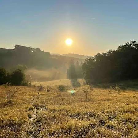 Vignes - Où Le Calm Apaise L'âme Cazes-Mondenard