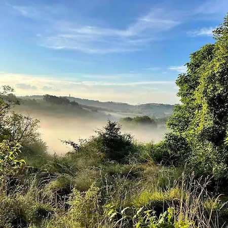 Vignes - Où Le Calm Apaise L'âme