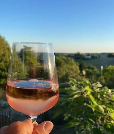 Vignes - Où Le Calm Apaise L'âme Appartement *