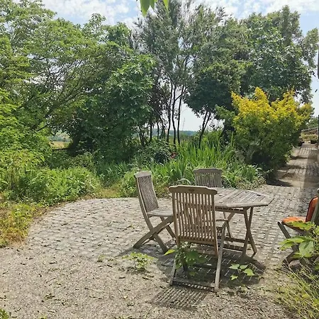 Vignes - Où Le Calm Apaise L'âme * Cazes-Mondenard