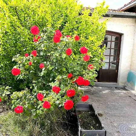 Vignes - Ou Le Calm Apaise L'ame Apartment