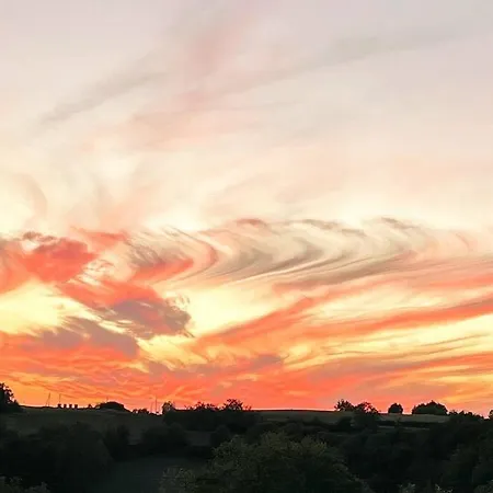 Vignes - Où Le Calm Apaise L'âme * Cazes-Mondenard