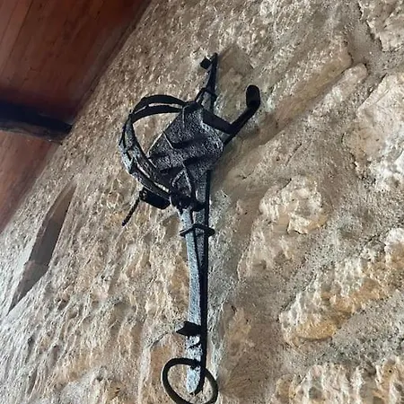 Vignes - Où Le Calm Apaise L'âme Cazes-Mondenard