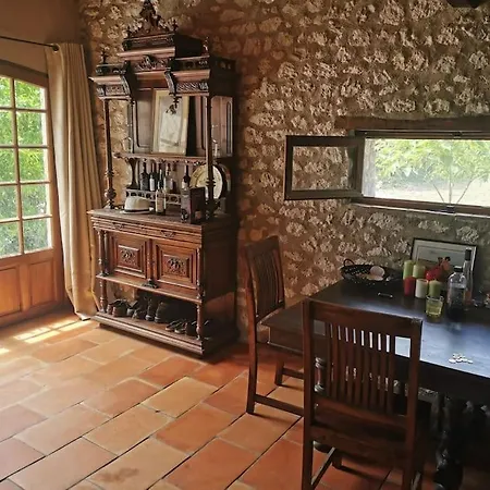 Vignes - Où Le Calm Apaise L'âme Cazes-Mondenard