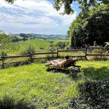 Vignes - Où Le Calm Apaise L'âme *