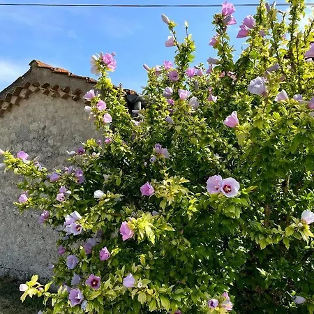 Apartment Vignes - Ou Le Calm Apaise L'ame *
