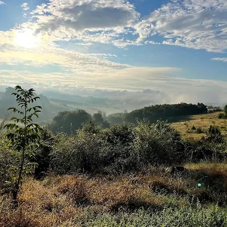 Vignes - Ou Le Calm Apaise L'ame Cazes-Mondenard