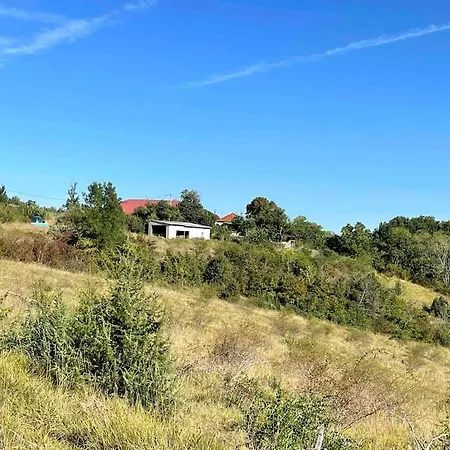 Vignes - Où Le Calm Apaise L'âme