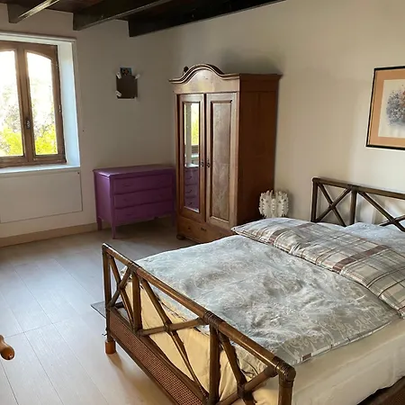 Vignes - Où Le Calm Apaise L'âme