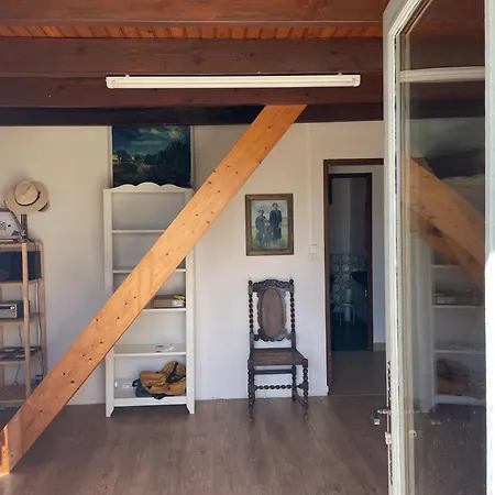 Vignes - Où Le Calm Apaise L'âme