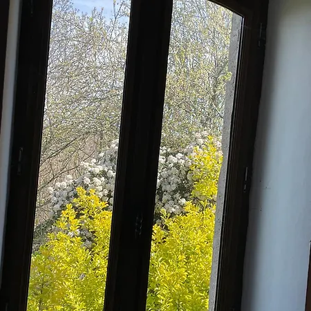 Vignes - Où Le Calm Apaise L'âme Cazes-Mondenard