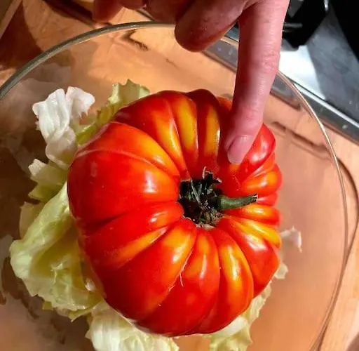 Vignes - Où Le Calm Apaise L'âme Appartamento Cazes-Mondenard