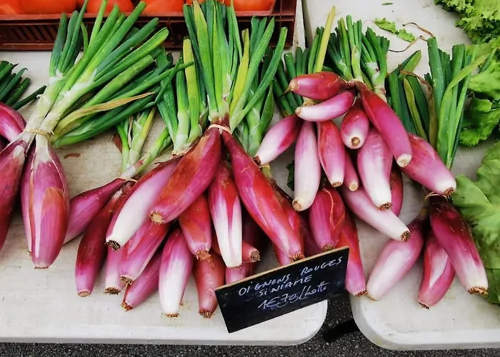 Vignes - Où Le Calm Apaise L'âme Appartamento *