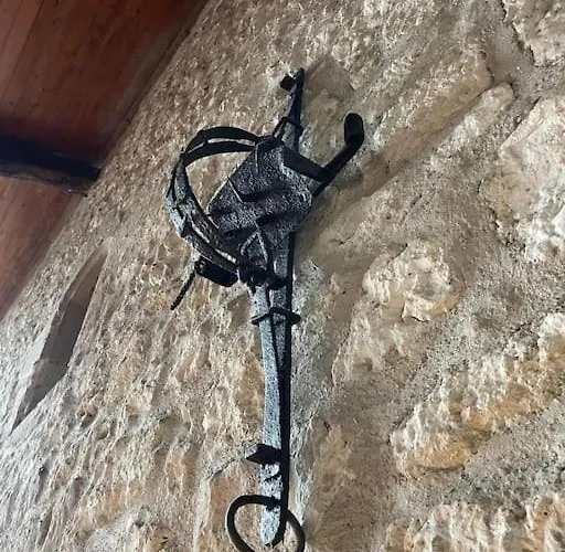 Vignes - Où Le Calm Apaise L'âme Cazes-Mondenard