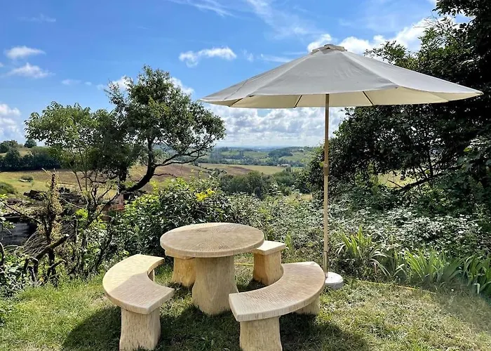 Vignes - Où Le Calm Apaise L'âme * Cazes-Mondenard