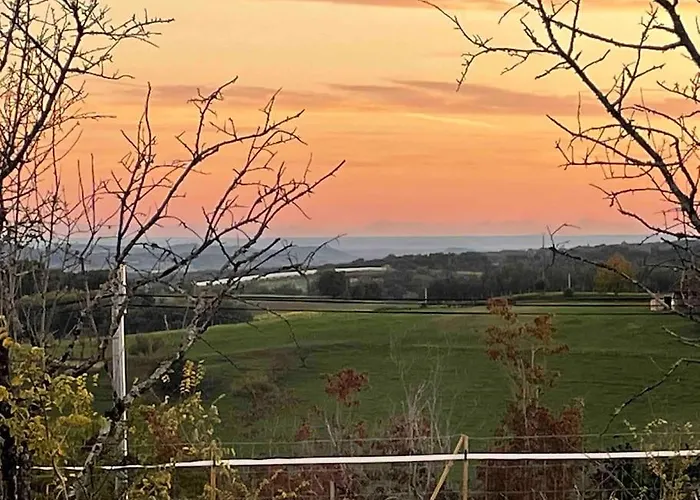 Vignes - Où Le Calm Apaise L'âme * Cazes-Mondenard
