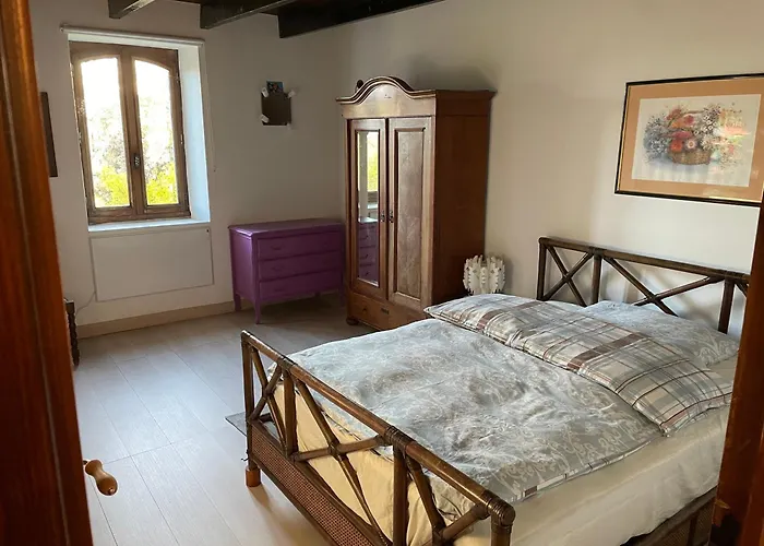 Vignes - Où Le Calm Apaise L'âme